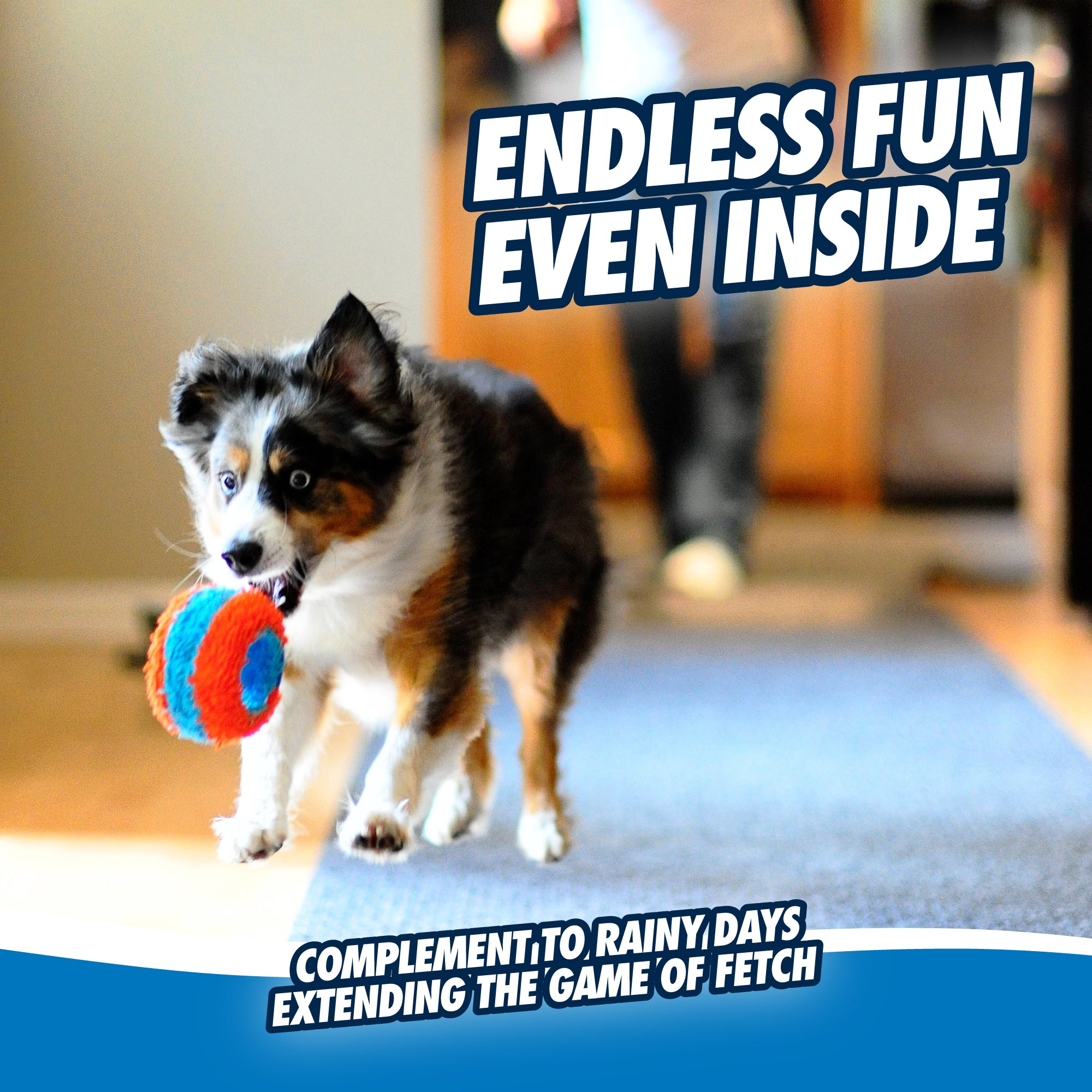 Chuckit! Indoor Roller Dog Toy - Image 5