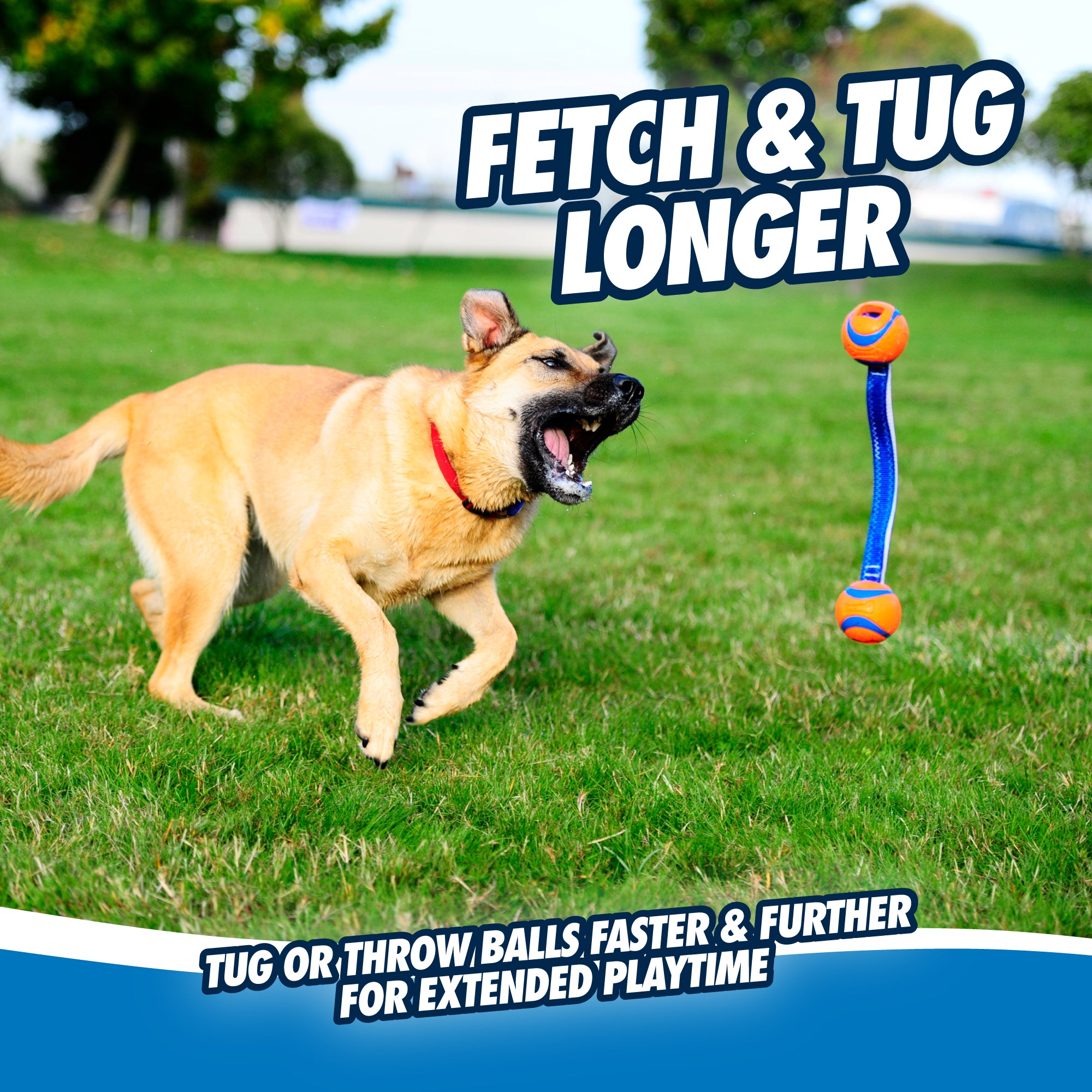 Chuckit! Ultra Duo Tug Dog Toy - Image 4
